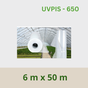 UV Polythene 6 m x 50 m