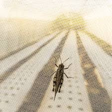 Insect Proof Nets